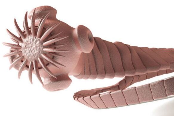 giza gorputzetik parasitoa