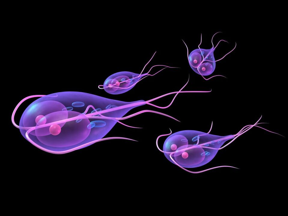 Giardia giza gorputzetik